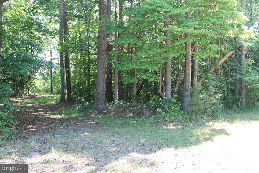 6019 HICKORY RIDGE RD, SPOTSYLVANIA, Virginia 22551, 4 Bedrooms Bedrooms, ,1 BathroomBathrooms,Residential,6019 HICKORY RIDGE RD,VASP2042090 MLS # VASP2042090