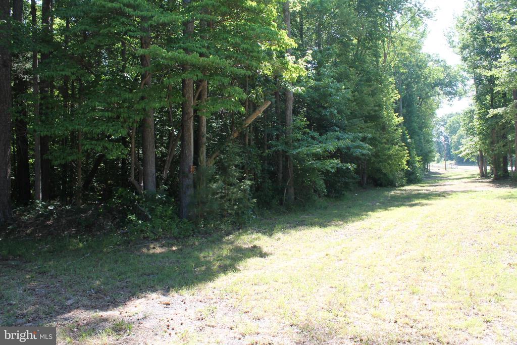 6019 HICKORY RIDGE RD, SPOTSYLVANIA, Virginia 22551, 4 Bedrooms Bedrooms, ,1 BathroomBathrooms,Residential,6019 HICKORY RIDGE RD,VASP2042090 MLS # VASP2042090