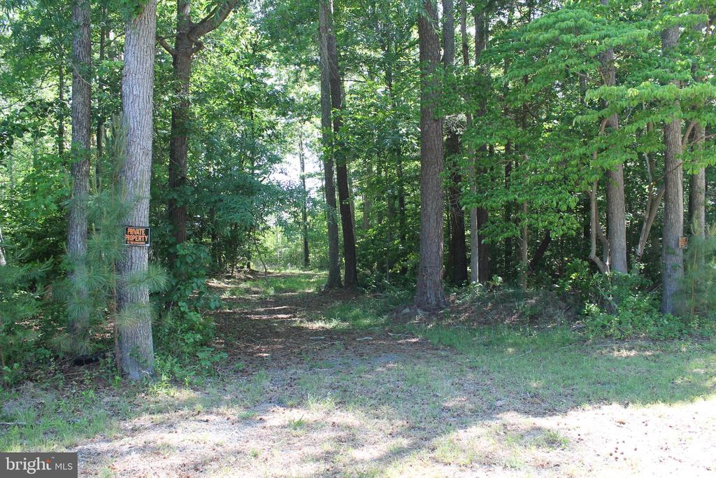 6019 HICKORY RIDGE RD, SPOTSYLVANIA, Virginia 22551, 4 Bedrooms Bedrooms, ,1 BathroomBathrooms,Residential,6019 HICKORY RIDGE RD,VASP2042090 MLS # VASP2042090