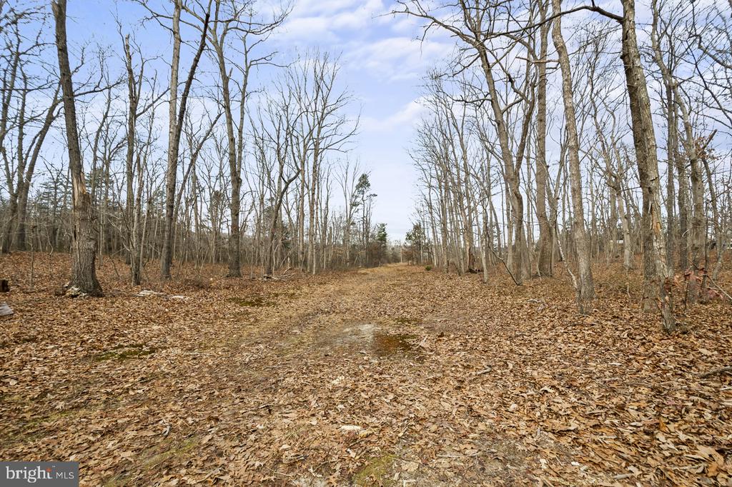 7389 LEEDS MANOR RD, MARSHALL, Virginia 20115, 3 Bedrooms Bedrooms, ,2 BathroomsBathrooms,Residential,7389 LEEDS MANOR RD,VAFQ2022324 MLS # VAFQ2022324