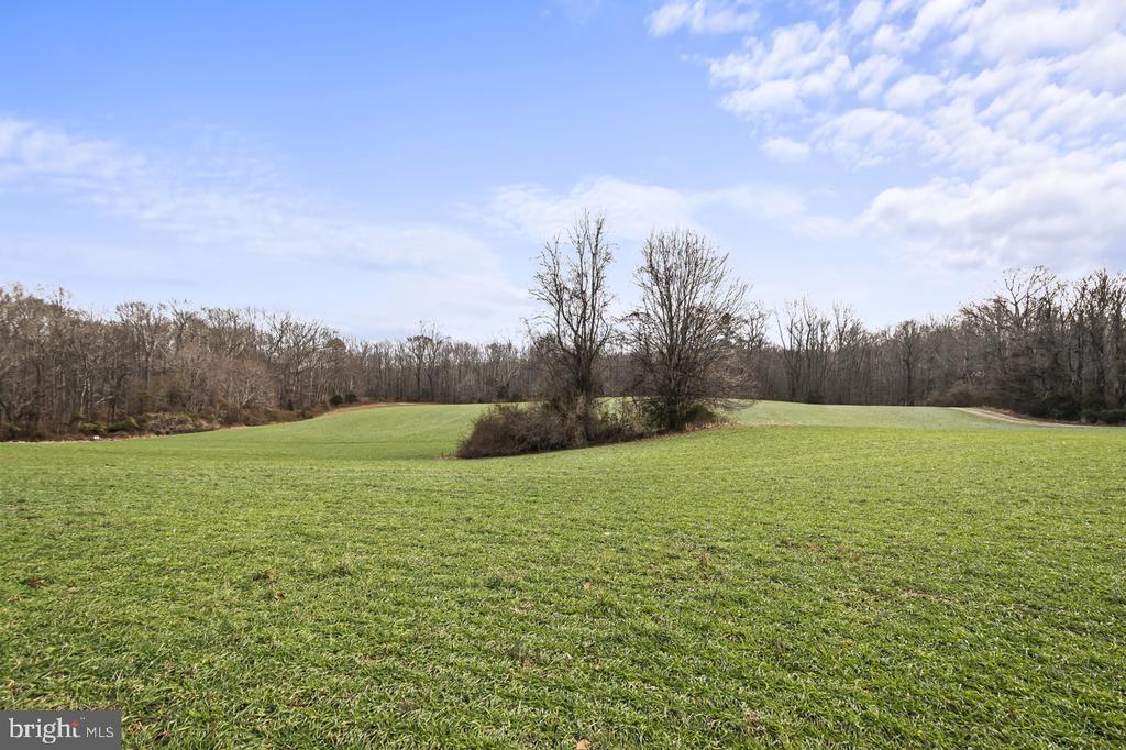 7389 LEEDS MANOR RD, MARSHALL, Virginia 20115, ,Farm,7389 LEEDS MANOR RD,VAFQ2022330 MLS # VAFQ2022330 7389 LEEDS MANOR RD, MARSHALL, Virginia 20115, ,Farm,7389 LEEDS MANOR RD,VAFQ2022330 MLS # VAFQ2022330
