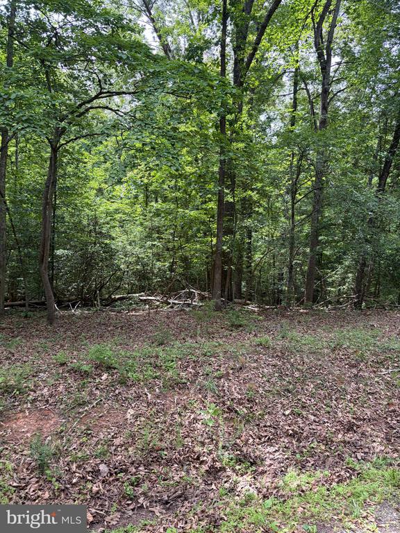 1 RAPIDAN RD, LOCUST GROVE, Virginia 22508, ,Land,1 RAPIDAN RD,VAOR2014274 MLS # VAOR2014274