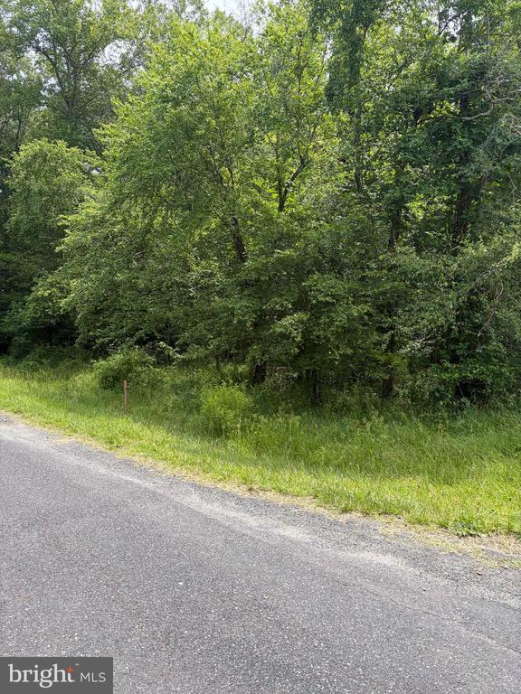 1 RAPIDAN RD, LOCUST GROVE, Virginia 22508, ,Land,1 RAPIDAN RD,VAOR2014274 MLS # VAOR2014274