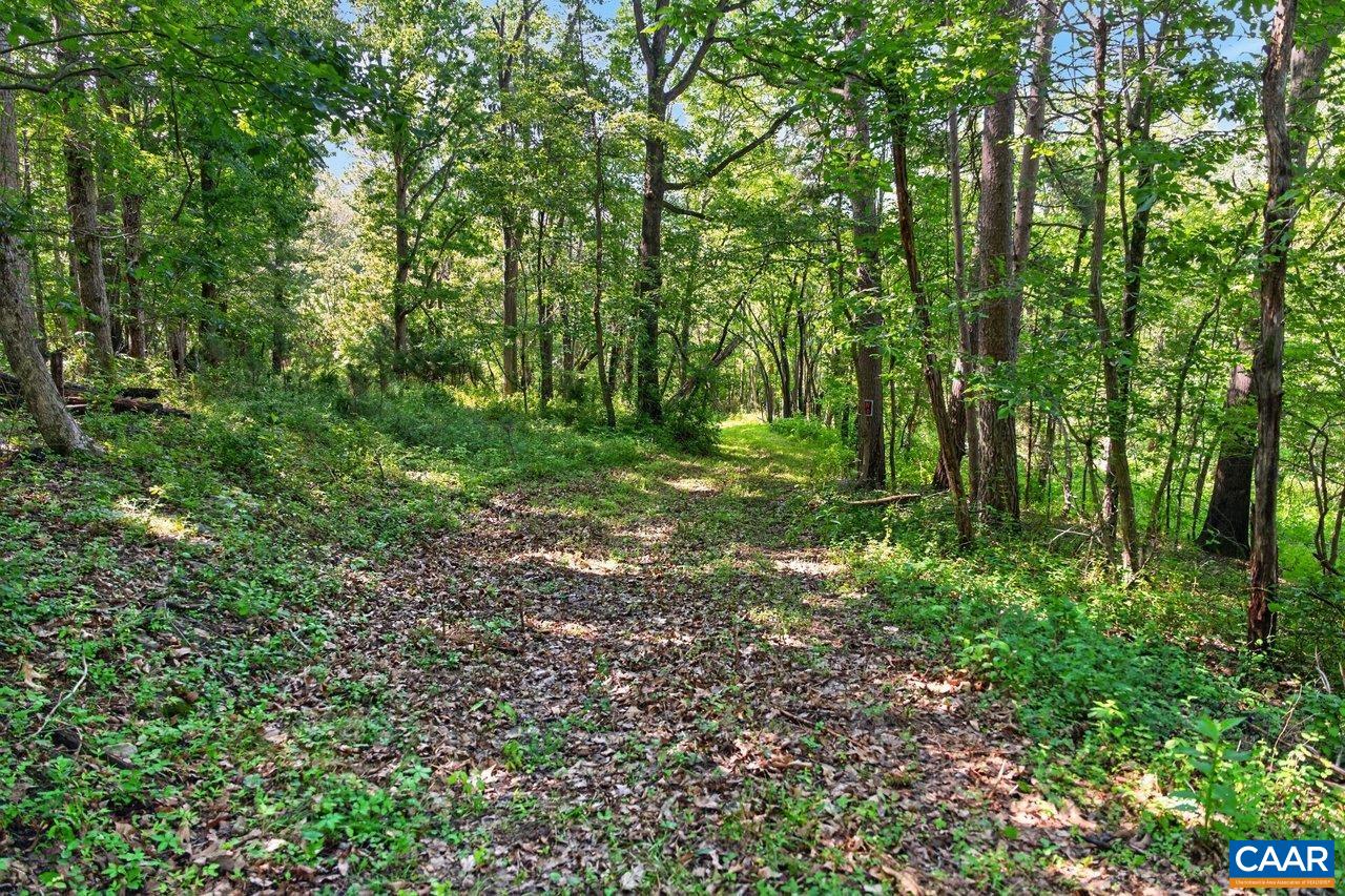 258 ROUTE 620, NEW MARKET, Virginia 22844, ,Land,258 ROUTE 620,677862 MLS # 677862