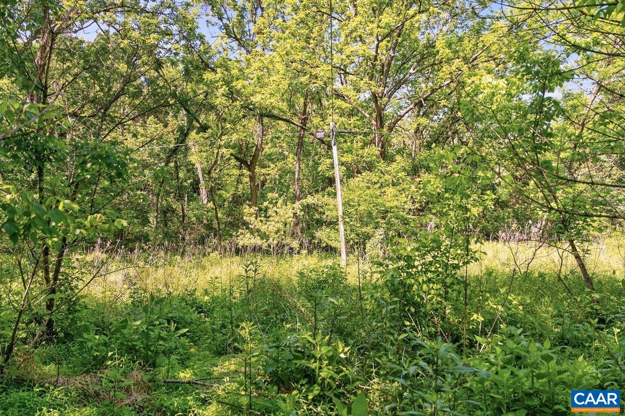258 ROUTE 620, NEW MARKET, Virginia 22844, ,Land,258 ROUTE 620,677862 MLS # 677862