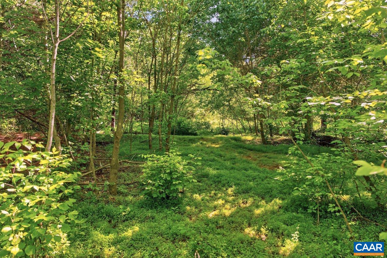 258 ROUTE 620, NEW MARKET, Virginia 22844, ,Land,258 ROUTE 620,677862 MLS # 677862