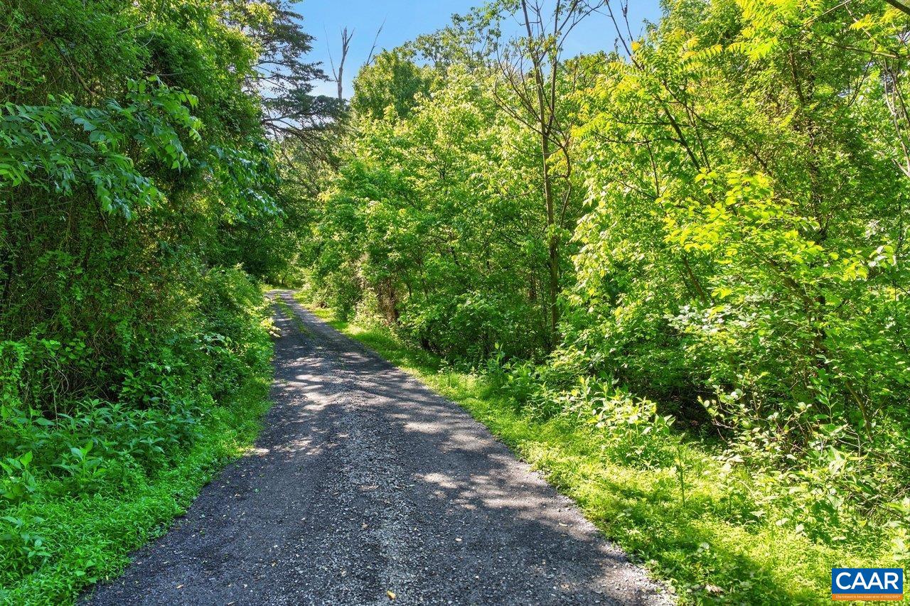 258 ROUTE 620, NEW MARKET, Virginia 22844, ,Land,258 ROUTE 620,677862 MLS # 677862