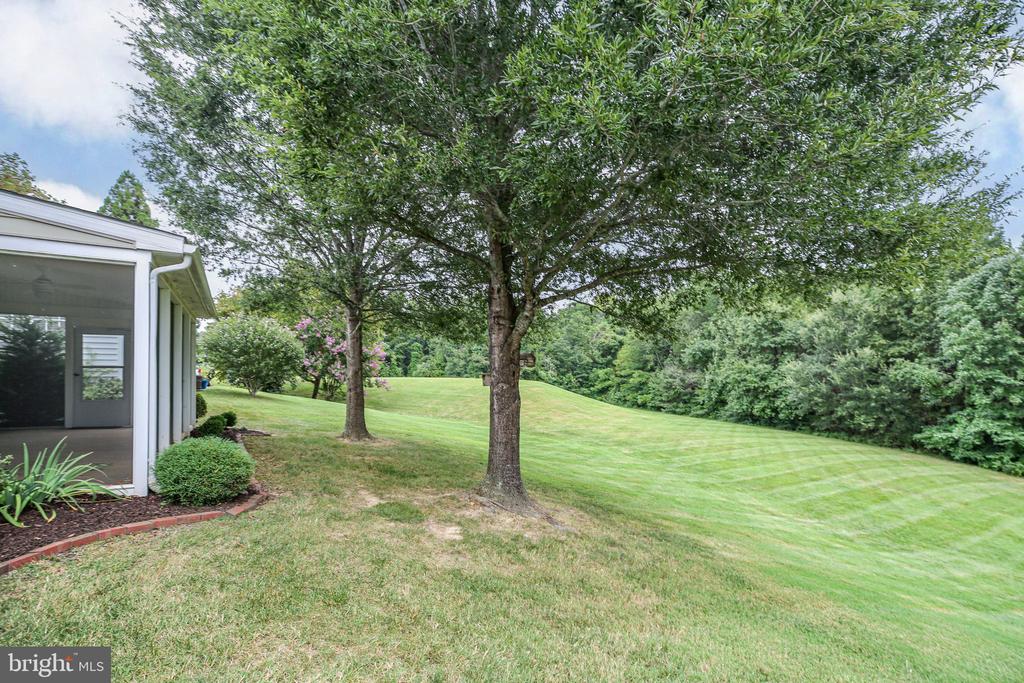 11921 LEGACY WOODS DR, FREDERICKSBURG, Virginia 22407, 3 Bedrooms Bedrooms, ,2 BathroomsBathrooms,Residential,11921 LEGACY WOODS DR,VASP2042472 MLS # VASP2042472