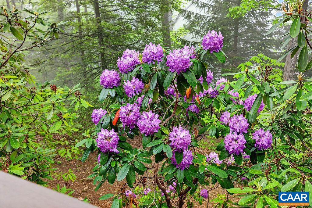 473 THREE RIDGES CONDOS, WINTERGREEN RESORT, Virginia 22967, 2 Bedrooms Bedrooms, ,2 BathroomsBathrooms,Residential,473 THREE RIDGES CONDOS,677861 MLS # 677861