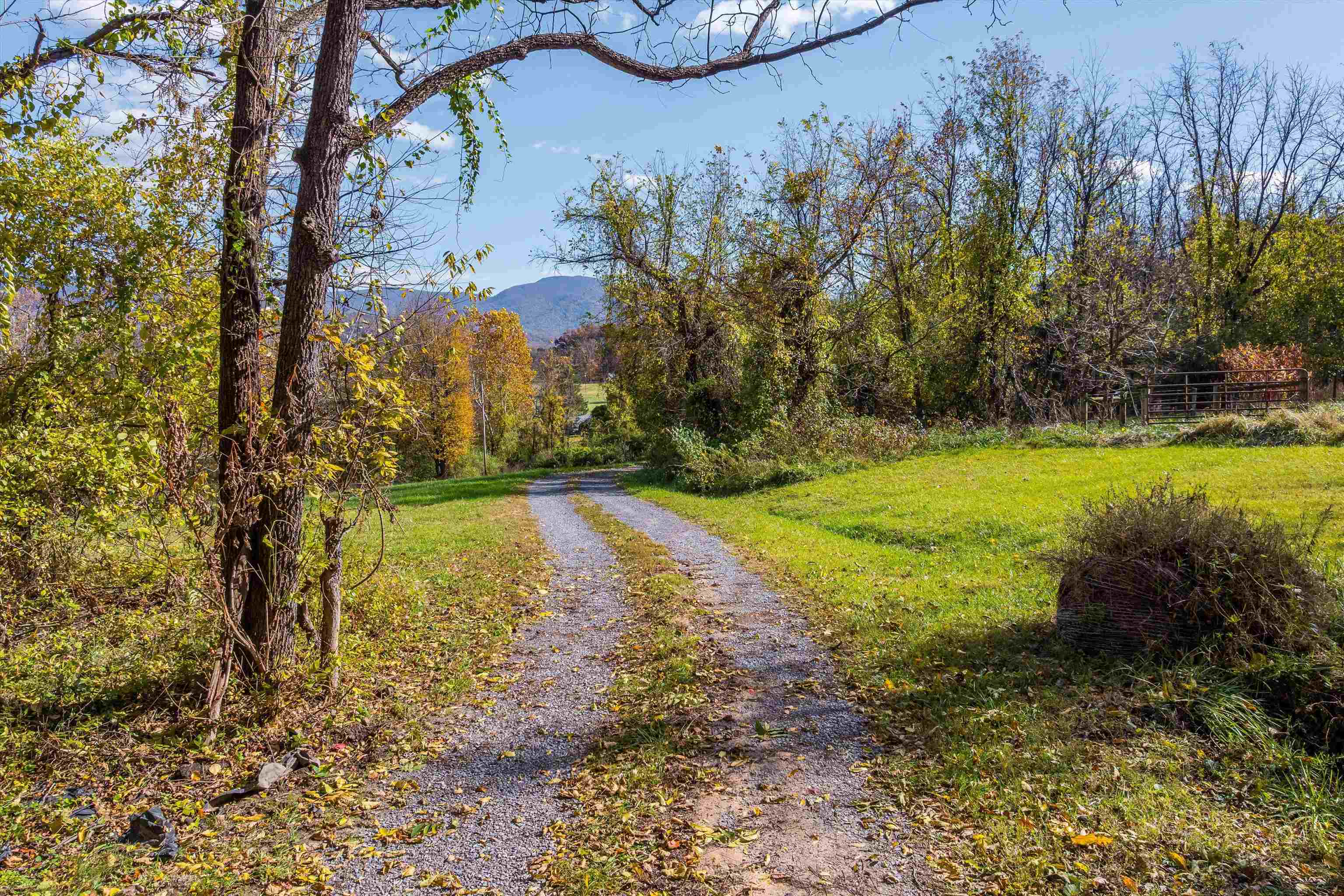 326 & 328 RUNNING PINE RD, LURAY, Virginia 22835, ,Residential,326 & 328 RUNNING PINE RD,677880 MLS # 677880