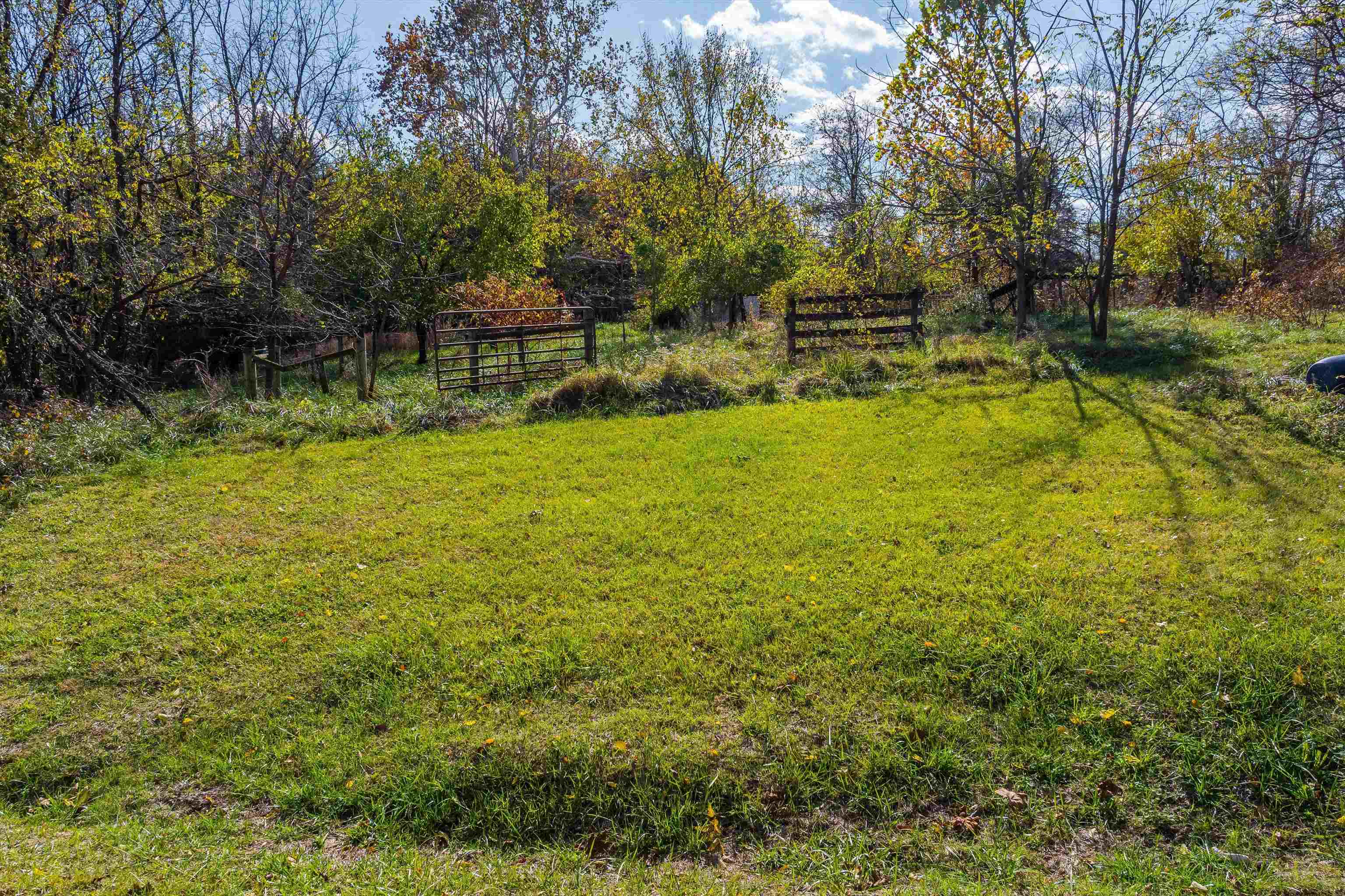 326 & 328 RUNNING PINE RD, LURAY, Virginia 22835, ,Residential,326 & 328 RUNNING PINE RD,677880 MLS # 677880