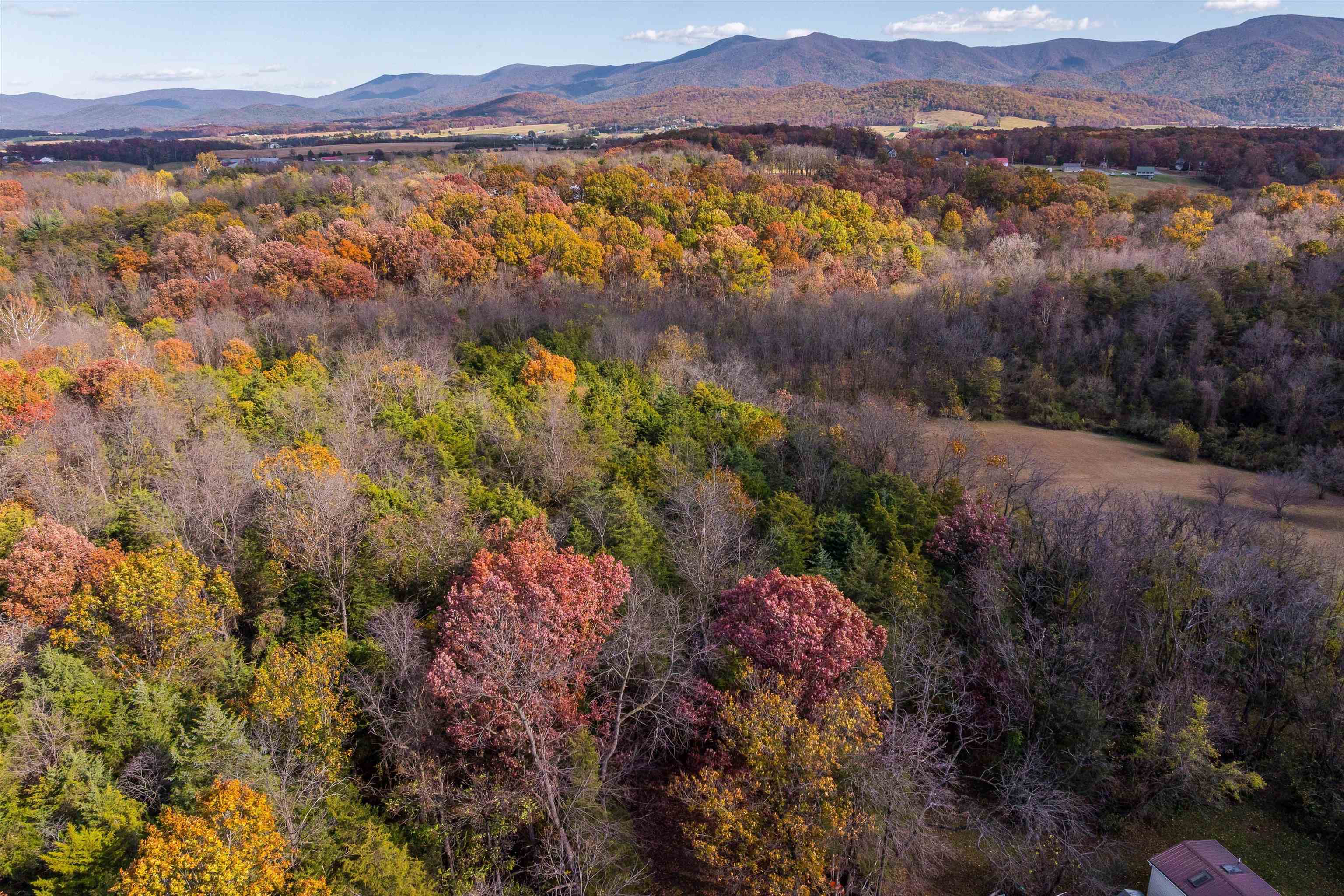 326 & 328 RUNNING PINE RD, LURAY, Virginia 22835, ,Residential,326 & 328 RUNNING PINE RD,677880 MLS # 677880