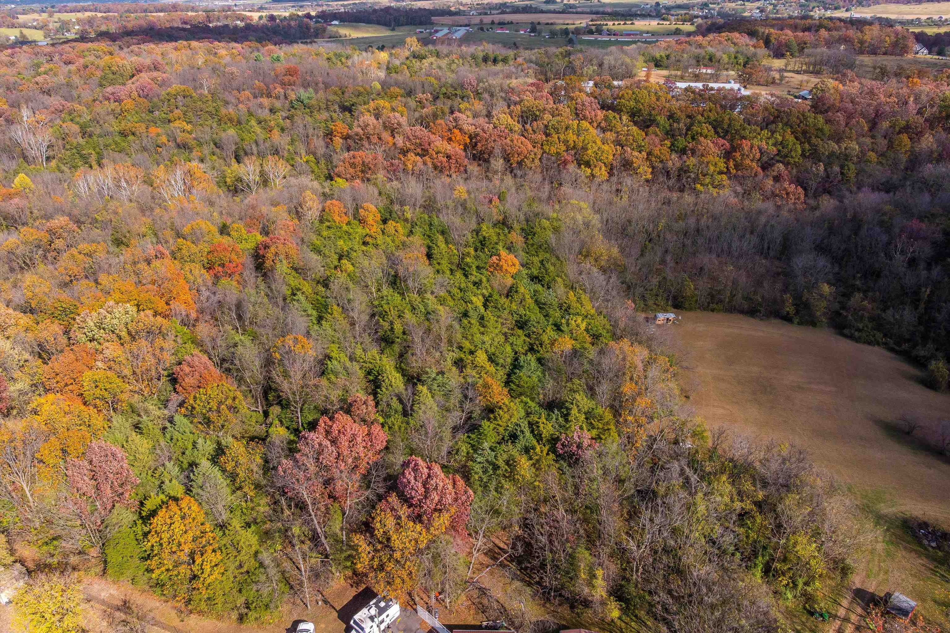 326 & 328 RUNNING PINE RD, LURAY, Virginia 22835, ,Residential,326 & 328 RUNNING PINE RD,677880 MLS # 677880