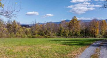 326 & 328 RUNNING PINE RD, LURAY, Virginia 22835, ,Residential,326 & 328 RUNNING PINE RD,677880 MLS # 677880