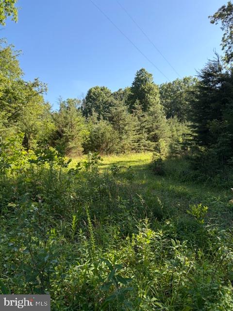 0 GOLD DALE RD, LOCUST GROVE, Virginia 22508, ,Land,0 GOLD DALE RD,VAOR2014312 MLS # VAOR2014312