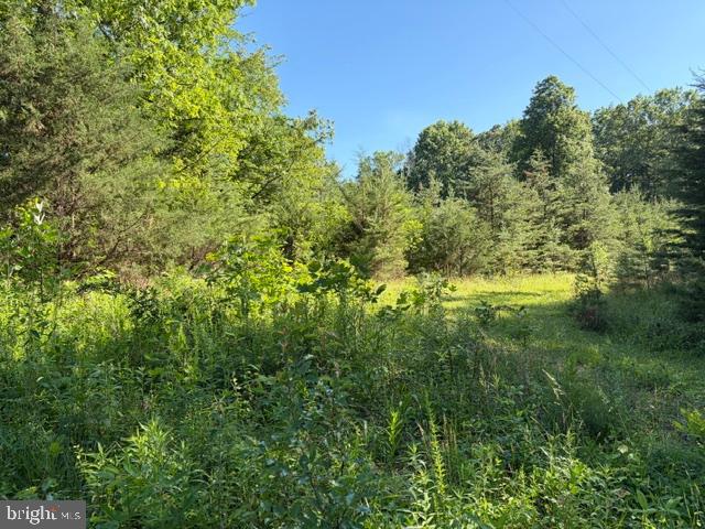 0 GOLD DALE RD, LOCUST GROVE, Virginia 22508, ,Land,0 GOLD DALE RD,VAOR2014312 MLS # VAOR2014312