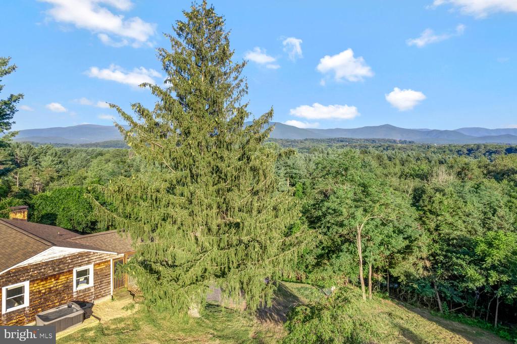 6235 S PAGE VALLEY RD, LURAY, Virginia 22835, 3 Bedrooms Bedrooms, ,1 BathroomBathrooms,Residential,6235 S PAGE VALLEY RD,VAPA2006516 MLS # VAPA2006516