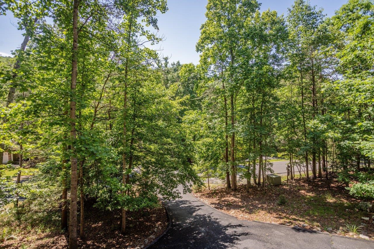 5109 TREVINO DR, MCGAHEYSVILLE, Virginia 22840, 4 Bedrooms Bedrooms, ,4 BathroomsBathrooms,Residential,5109 TREVINO DR,677895 MLS # 677895