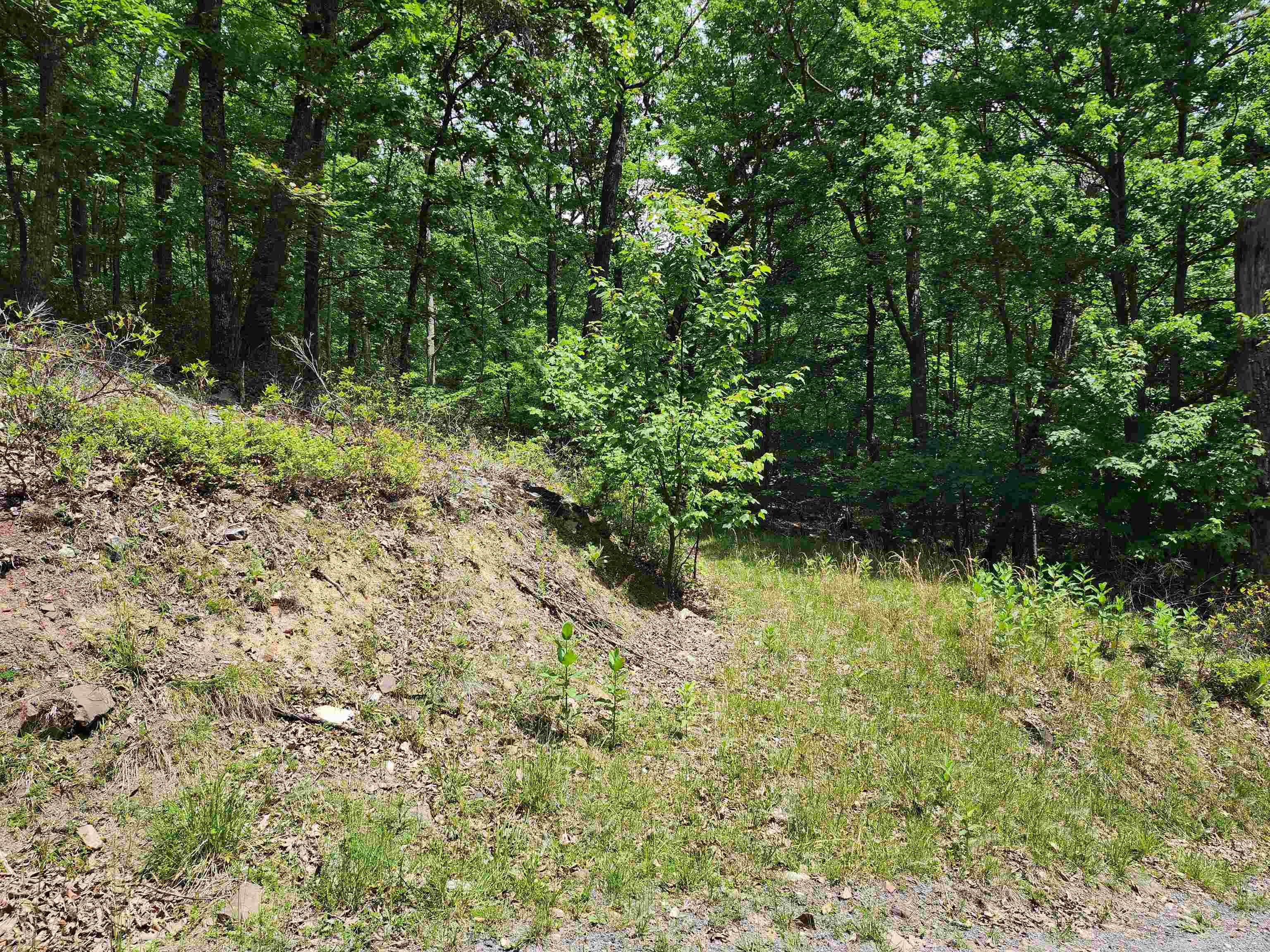TBD HIGH VALLEY SOUTH, MONTEREY, Virginia 24465, ,Land,TBD HIGH VALLEY SOUTH,677917 MLS # 677917 TBD HIGH VALLEY SOUTH, MONTEREY, Virginia 24465, ,Land,TBD HIGH VALLEY SOUTH,677917 MLS # 677917