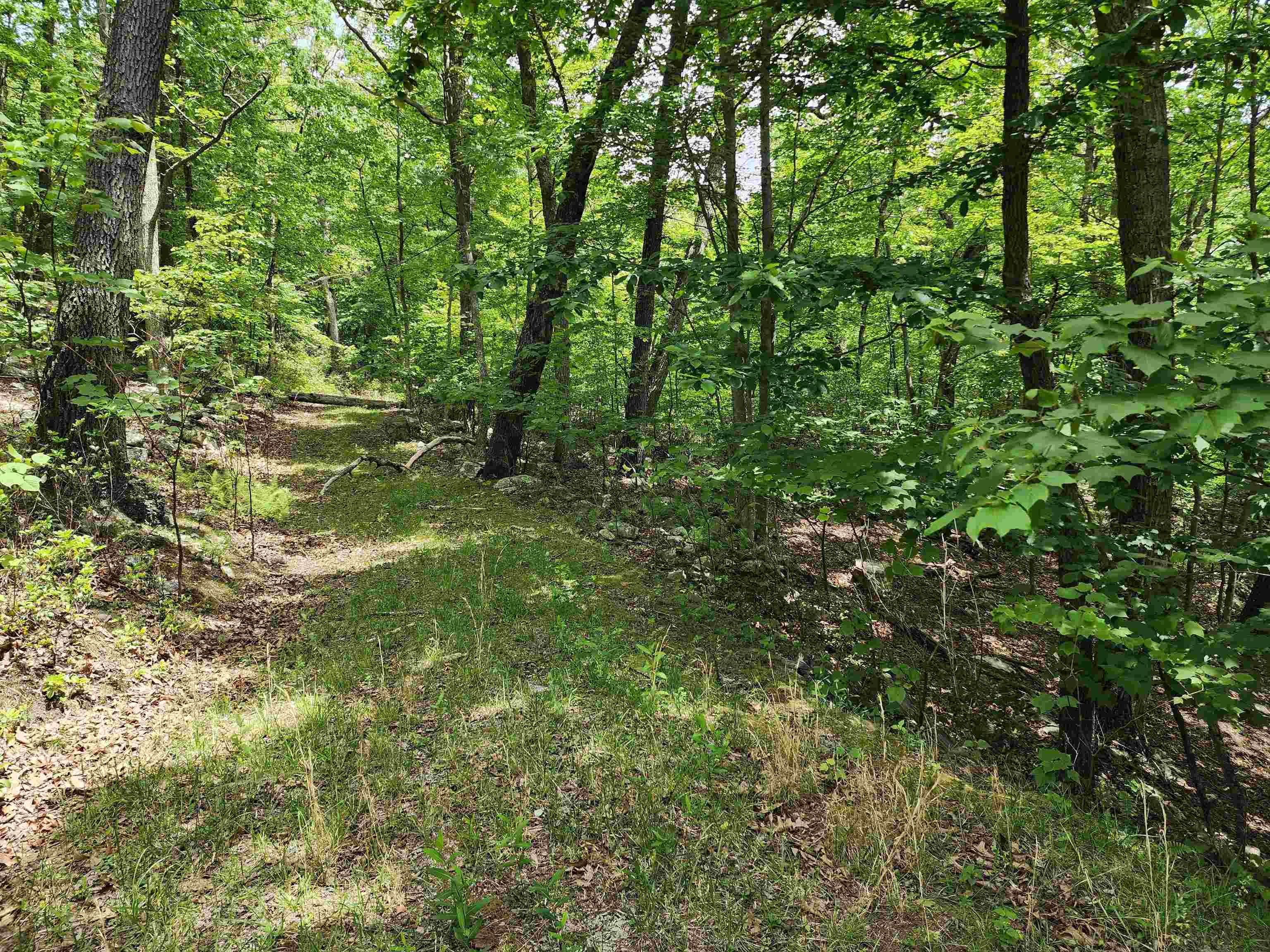 TBD HIGH VALLEY SOUTH, MONTEREY, Virginia 24465, ,Land,TBD HIGH VALLEY SOUTH,677917 MLS # 677917 TBD HIGH VALLEY SOUTH, MONTEREY, Virginia 24465, ,Land,TBD HIGH VALLEY SOUTH,677917 MLS # 677917