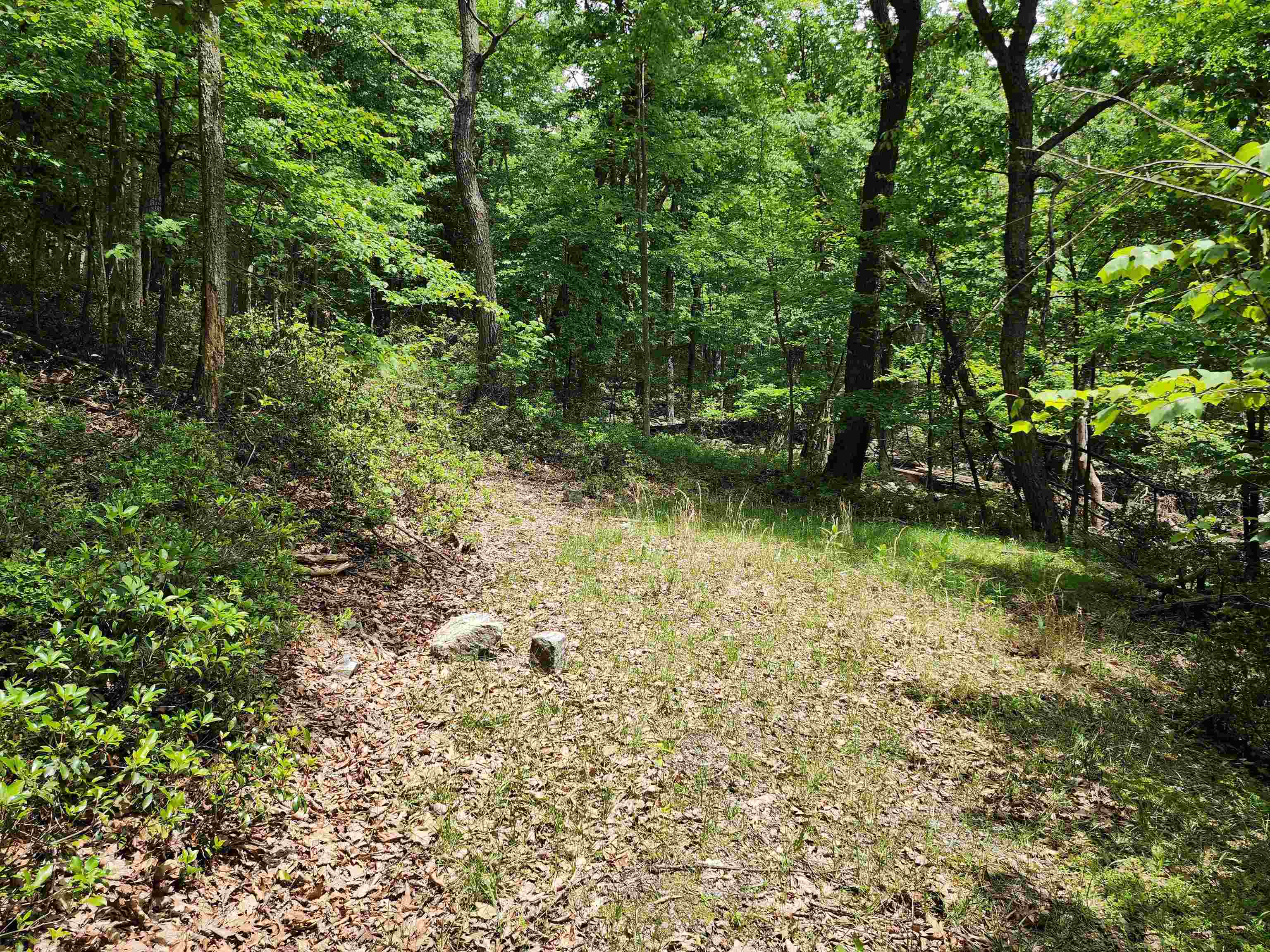 TBD HIGH VALLEY SOUTH, MONTEREY, Virginia 24465, ,Land,TBD HIGH VALLEY SOUTH,677917 MLS # 677917 TBD HIGH VALLEY SOUTH, MONTEREY, Virginia 24465, ,Land,TBD HIGH VALLEY SOUTH,677917 MLS # 677917