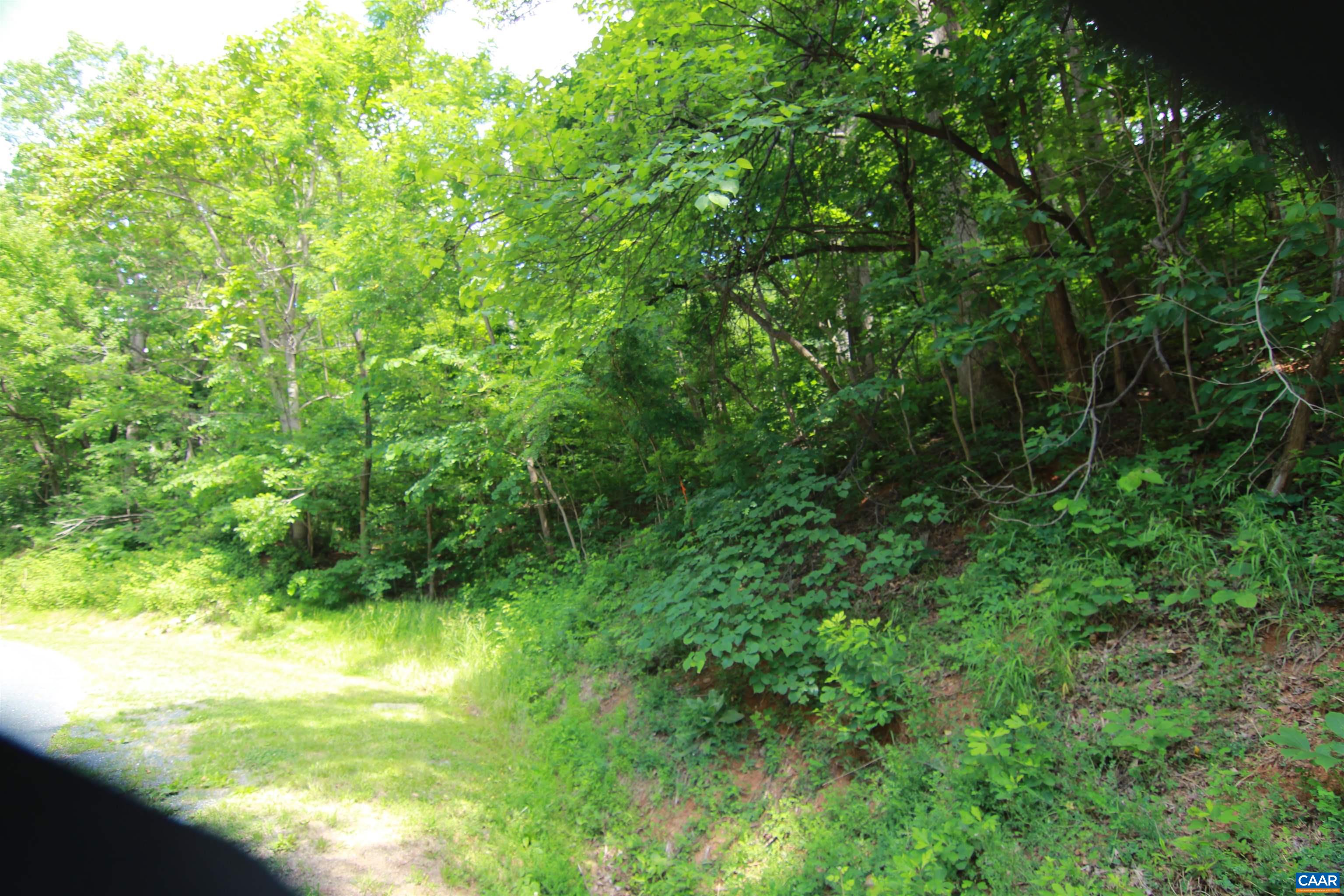 1757 BLACK WALNUT DR, NELLYSFORD, Virginia 22958, ,Land,1757 BLACK WALNUT DR,677922 MLS # 677922