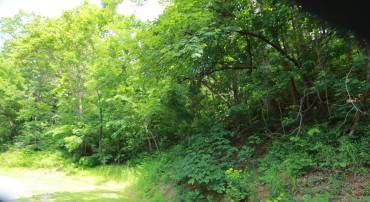 1757 BLACK WALNUT DR, NELLYSFORD, Virginia 22958, ,Land,1757 BLACK WALNUT DR,677922 MLS # 677922