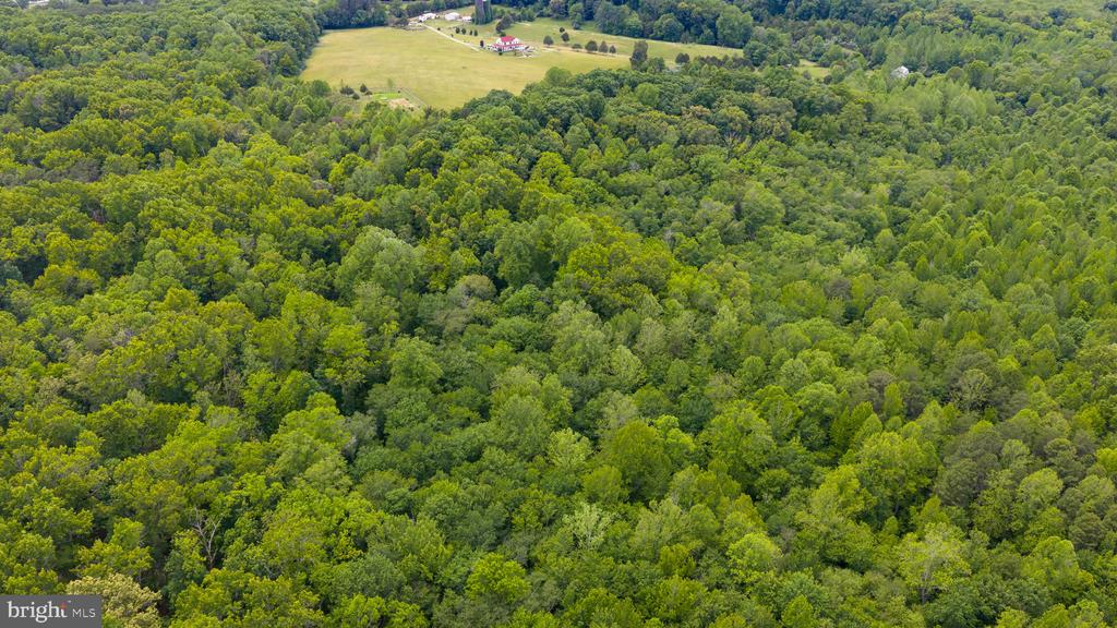 12501 W CATHARPIN RD, SPOTSYLVANIA, Virginia 22551, 4 Bedrooms Bedrooms, ,3 BathroomsBathrooms,Residential,12501 W CATHARPIN RD,VASP2042524 MLS # VASP2042524
