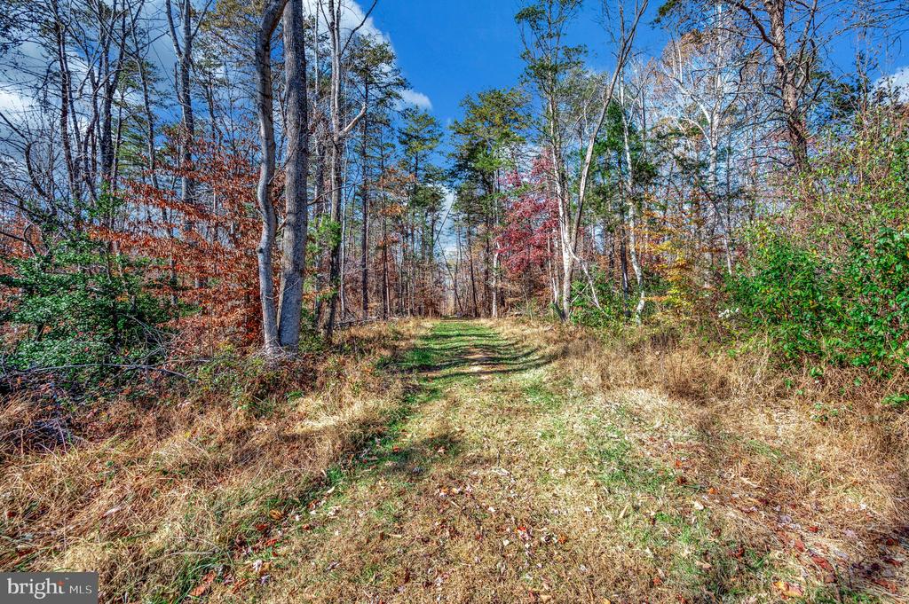 5120 BURR RD, RHOADESVILLE, Virginia 22542, 3 Bedrooms Bedrooms, ,2 BathroomsBathrooms,Residential,5120 BURR RD,VAOR2014344 MLS # VAOR2014344