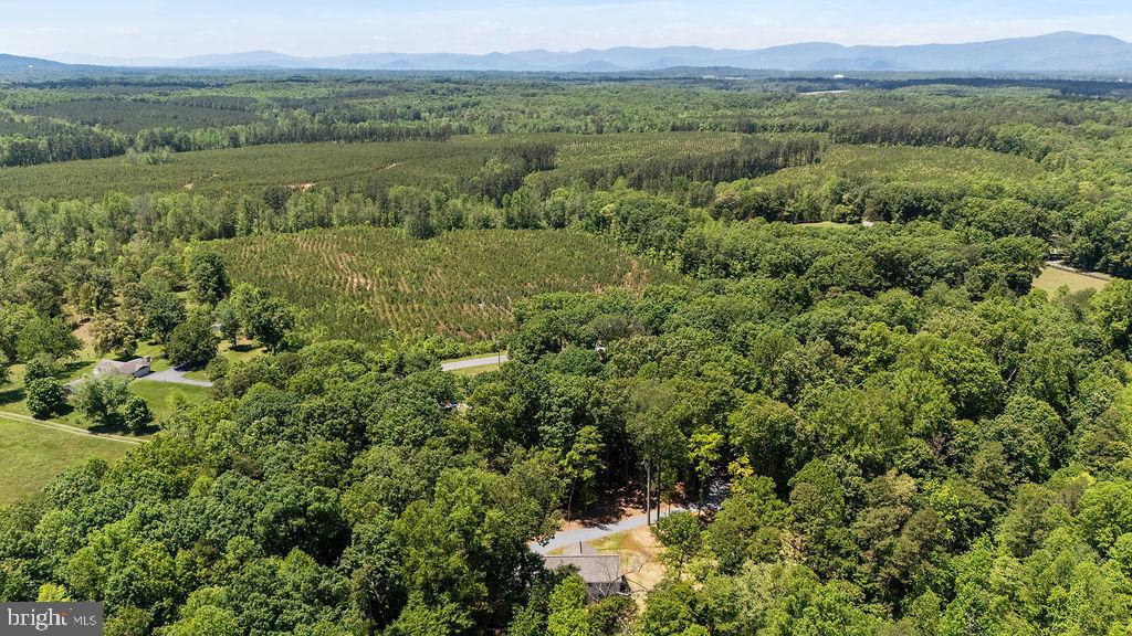 12121 ALBANO RD, BARBOURSVILLE, Virginia 22923, 5 Bedrooms Bedrooms, ,3 BathroomsBathrooms,Residential,12121 ALBANO RD,VAOR2014330 MLS # VAOR2014330