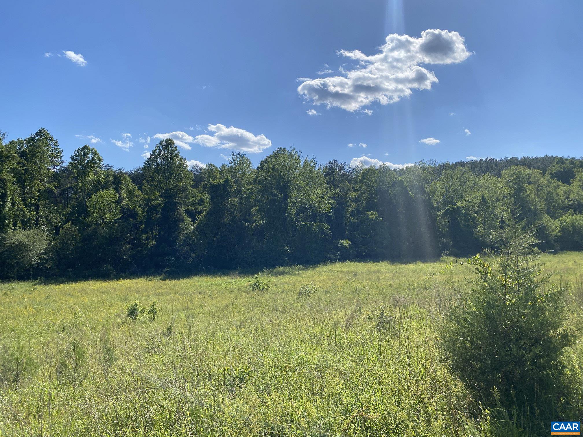 3984 PRESIDENTS RD, SCOTTSVILLE, Virginia 24590, 3 Bedrooms Bedrooms, ,2 BathroomsBathrooms,Residential,Albemarle Homestead Opportunity!,3984 PRESIDENTS RD,677941 MLS # 677941