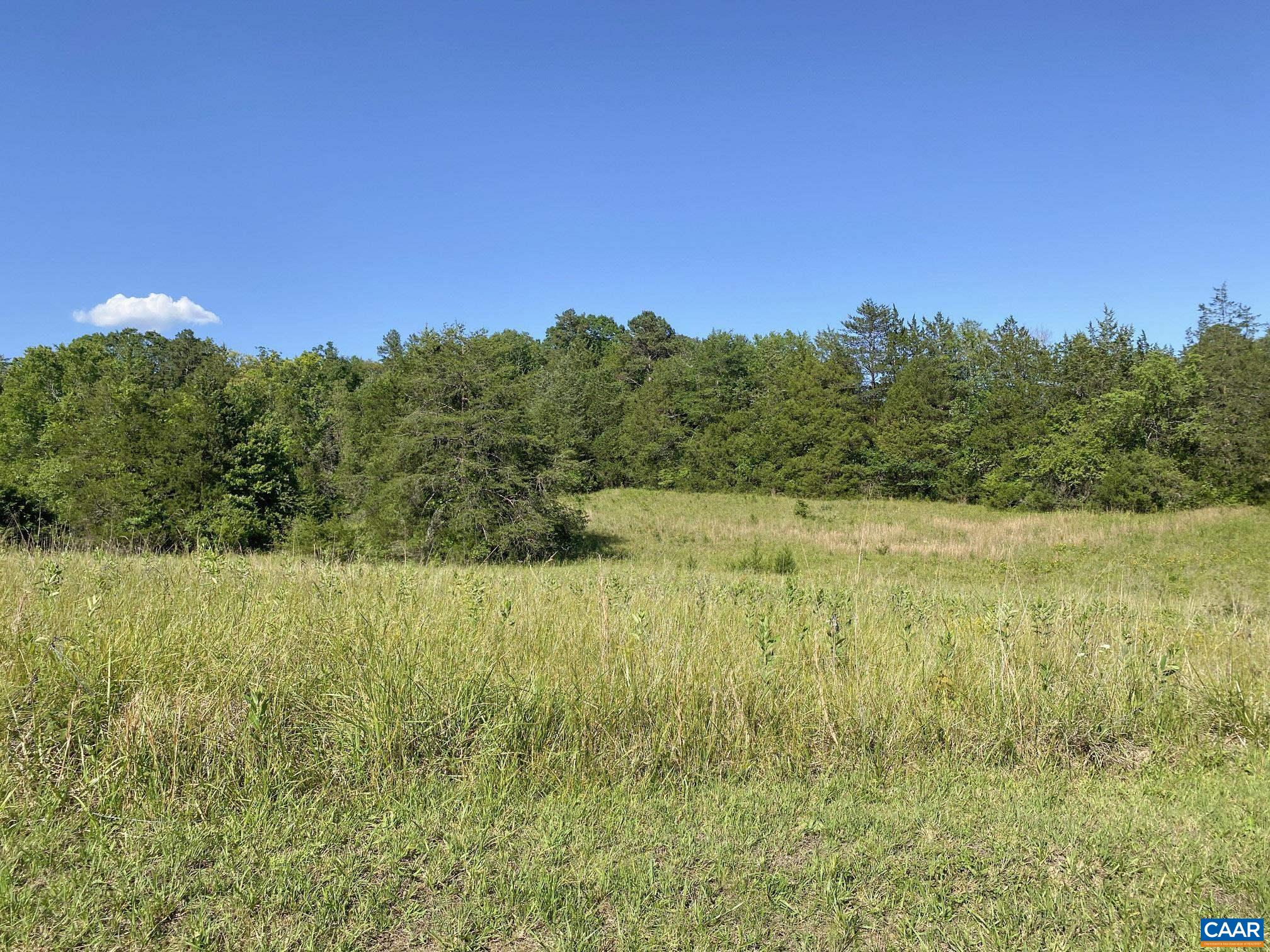 3984 PRESIDENTS RD, SCOTTSVILLE, Virginia 24590, 3 Bedrooms Bedrooms, ,2 BathroomsBathrooms,Residential,Albemarle Homestead Opportunity!,3984 PRESIDENTS RD,677941 MLS # 677941