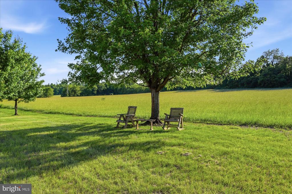 10216 LEES MILL RD, WARRENTON, Virginia 20186, 5 Bedrooms Bedrooms, ,4 BathroomsBathrooms,Residential,10216 LEES MILL RD,VAFQ2022000 MLS # VAFQ2022000