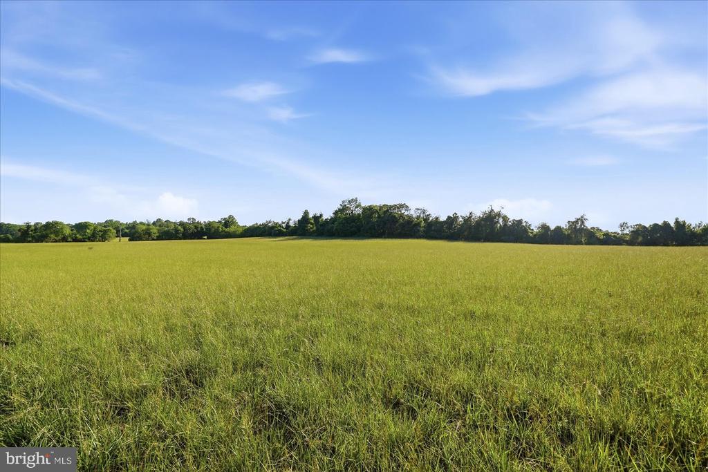 10216 LEES MILL RD, WARRENTON, Virginia 20186, 5 Bedrooms Bedrooms, ,4 BathroomsBathrooms,Residential,10216 LEES MILL RD,VAFQ2022000 MLS # VAFQ2022000