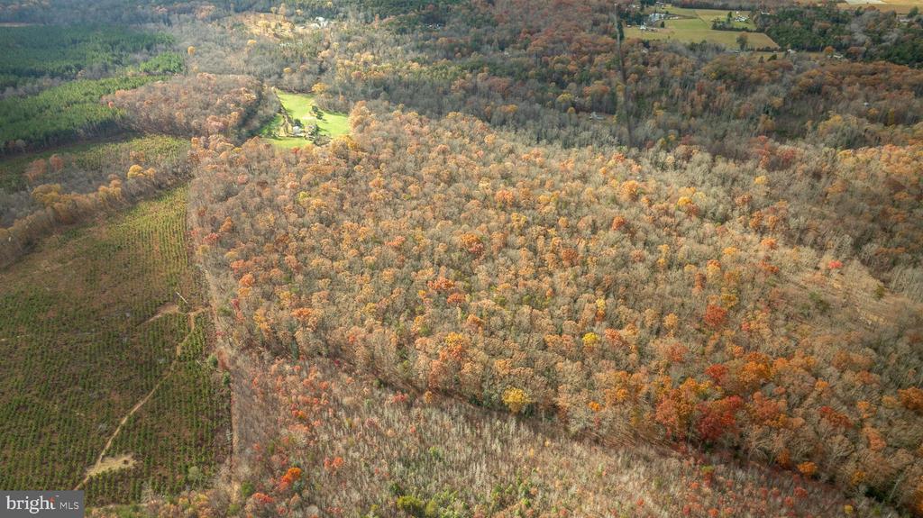 14100 CEDAR PLANTATION RD, SPOTSYLVANIA, Virginia 22551, ,Land,14100 CEDAR PLANTATION RD,VASP2037550 MLS # VASP2037550