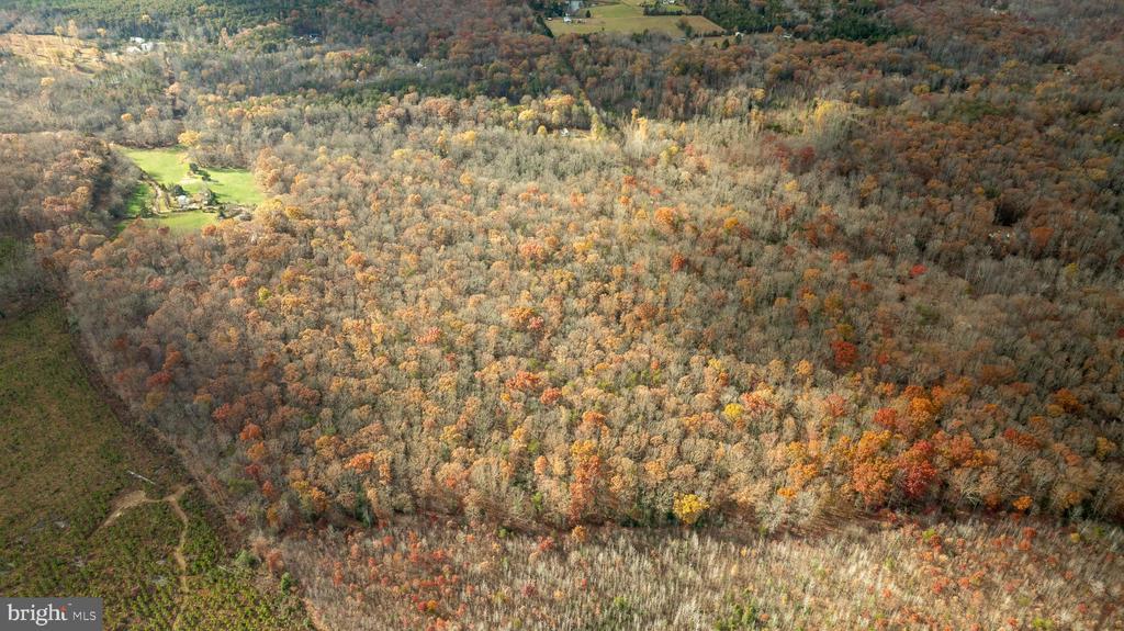 14100 CEDAR PLANTATION RD, SPOTSYLVANIA, Virginia 22551, ,Land,14100 CEDAR PLANTATION RD,VASP2037550 MLS # VASP2037550