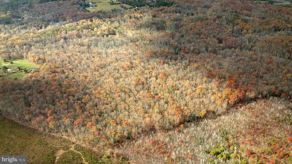 14100 CEDAR PLANTATION RD, SPOTSYLVANIA, Virginia 22551, ,Land,14100 CEDAR PLANTATION RD,VASP2037550 MLS # VASP2037550