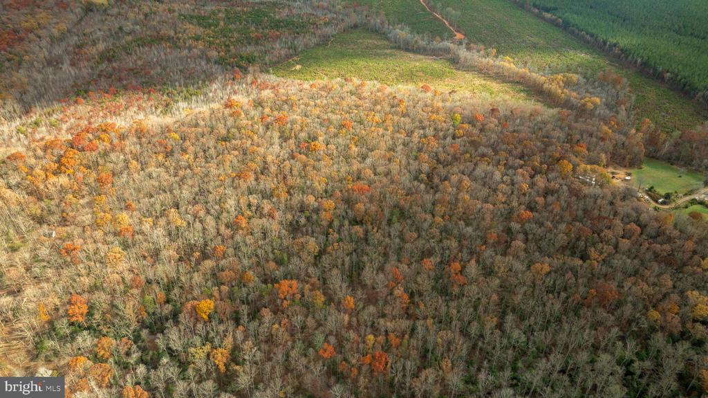 14100 CEDAR PLANTATION RD, SPOTSYLVANIA, Virginia 22551, ,Land,14100 CEDAR PLANTATION RD,VASP2037550 MLS # VASP2037550
