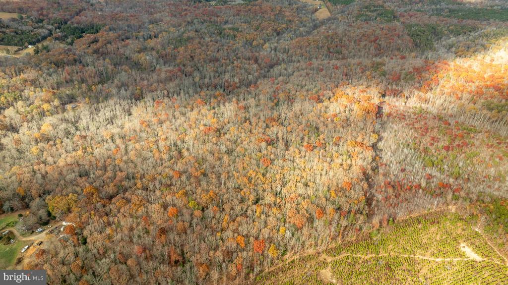 14100 CEDAR PLANTATION RD, SPOTSYLVANIA, Virginia 22551, ,Land,14100 CEDAR PLANTATION RD,VASP2037550 MLS # VASP2037550