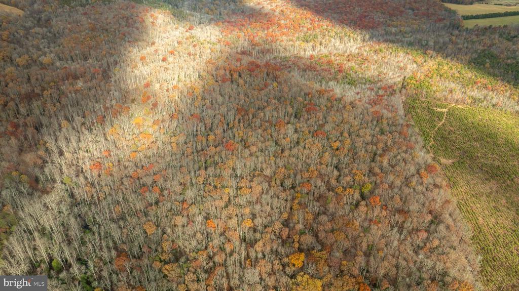 14100 CEDAR PLANTATION RD, SPOTSYLVANIA, Virginia 22551, ,Land,14100 CEDAR PLANTATION RD,VASP2037550 MLS # VASP2037550