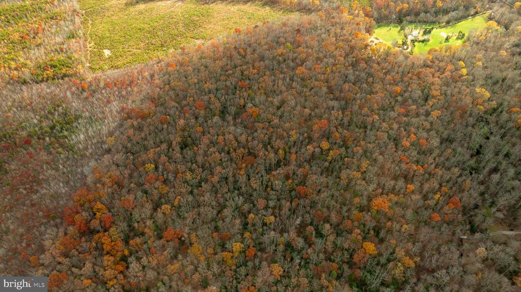 14100 CEDAR PLANTATION RD, SPOTSYLVANIA, Virginia 22551, ,Land,14100 CEDAR PLANTATION RD,VASP2037550 MLS # VASP2037550