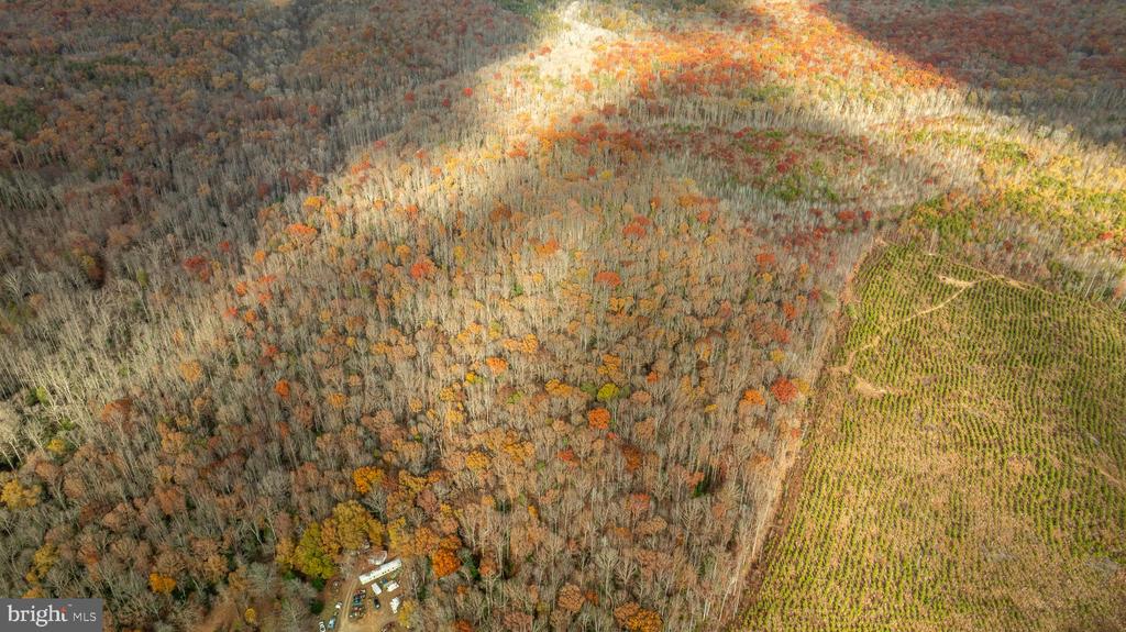 14100 CEDAR PLANTATION RD, SPOTSYLVANIA, Virginia 22551, ,Land,14100 CEDAR PLANTATION RD,VASP2037550 MLS # VASP2037550