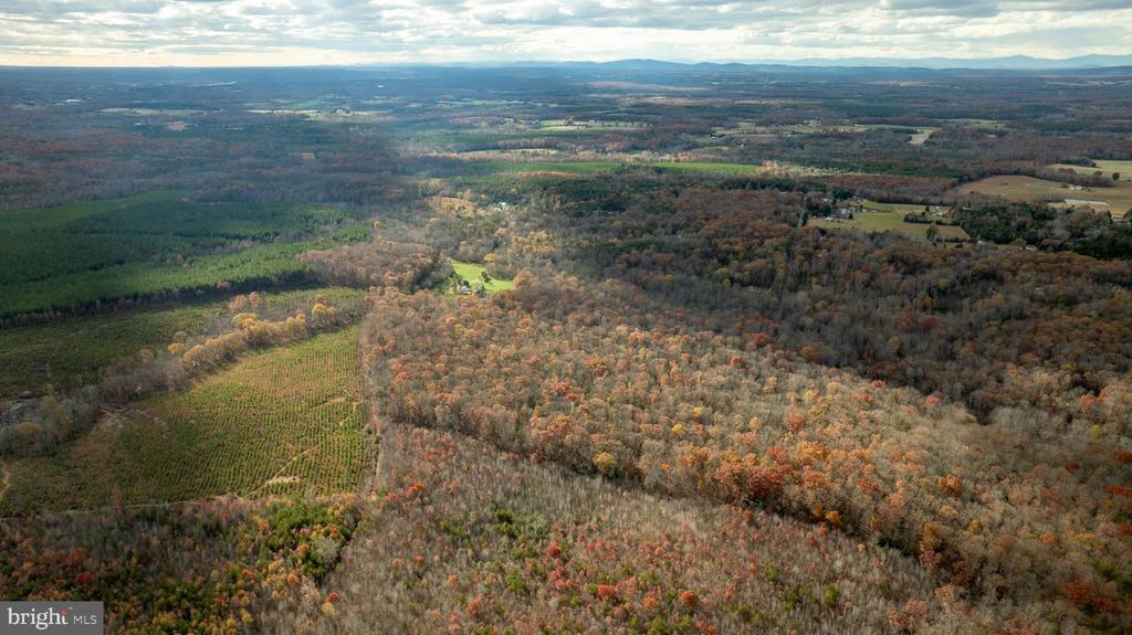 14100 CEDAR PLANTATION RD, SPOTSYLVANIA, Virginia 22551, ,Land,14100 CEDAR PLANTATION RD,VASP2037550 MLS # VASP2037550