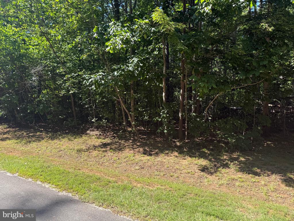 6715 WATER VIEW LN, MINERAL, Virginia 23117, ,Land,6715 WATER VIEW LN,VASP2042354 MLS # VASP2042354