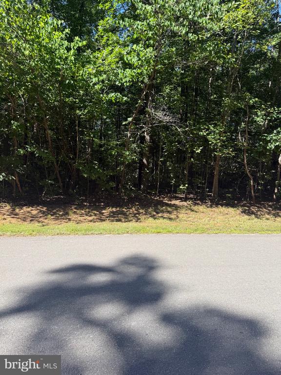 6715 WATER VIEW LN, MINERAL, Virginia 23117, ,Land,6715 WATER VIEW LN,VASP2042354 MLS # VASP2042354
