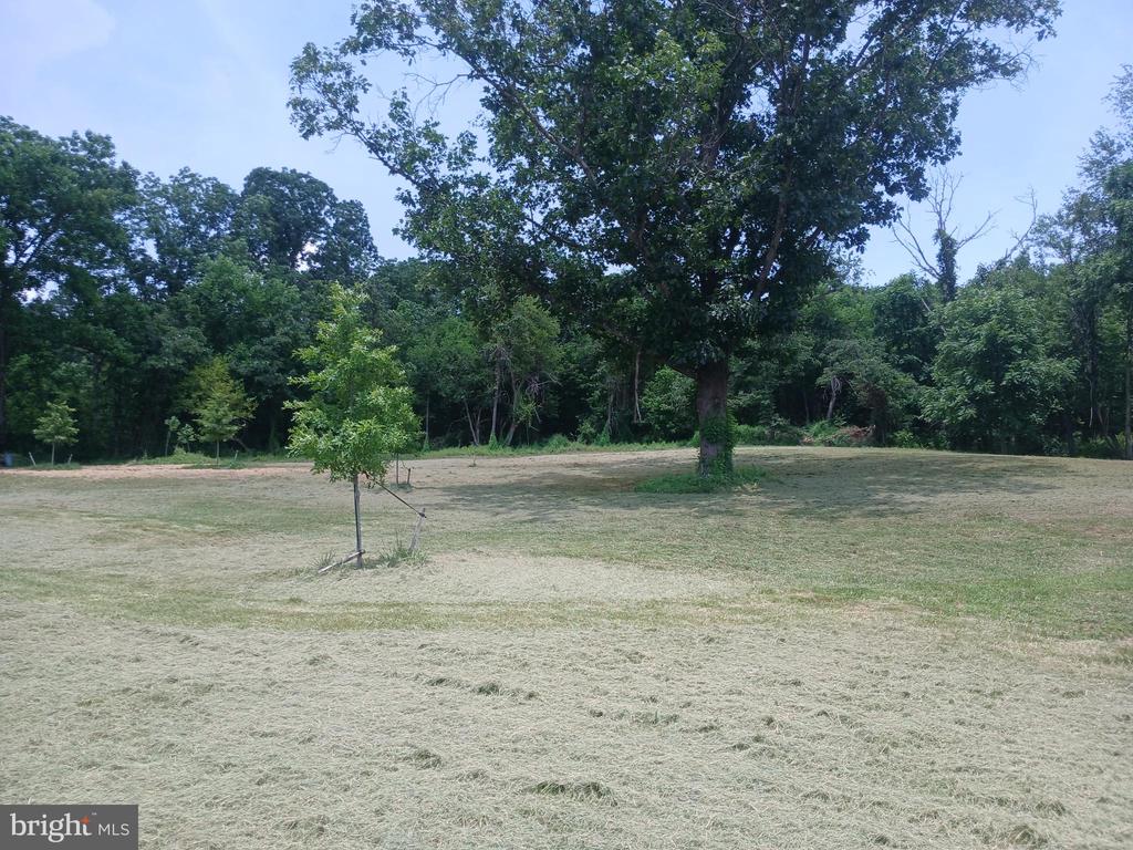 CAROLYNS WAY, LINDEN, Virginia 22642, ,Land,CAROLYNS WAY,VAFQ2022328 MLS # VAFQ2022328