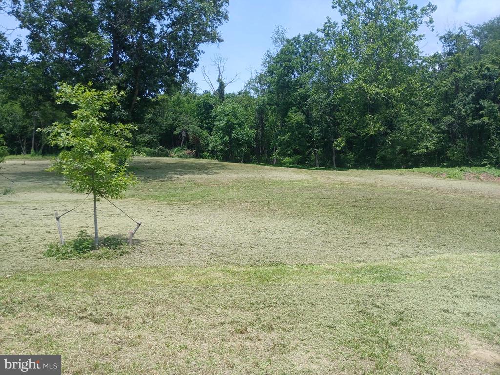 CAROLYNS WAY, LINDEN, Virginia 22642, ,Land,CAROLYNS WAY,VAFQ2022328 MLS # VAFQ2022328