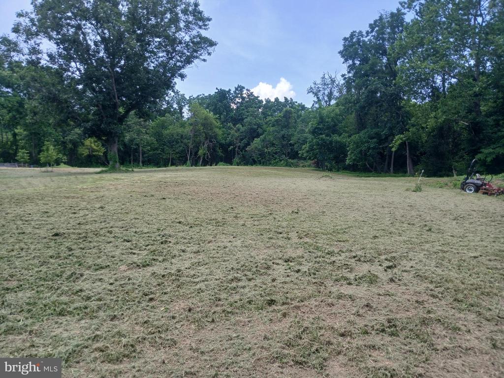 CAROLYNS WAY, LINDEN, Virginia 22642, ,Land,CAROLYNS WAY,VAFQ2022328 MLS # VAFQ2022328