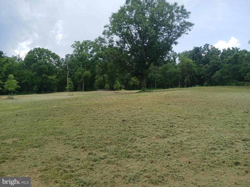 CAROLYNS WAY, LINDEN, Virginia 22642, ,Land,CAROLYNS WAY,VAFQ2022328 MLS # VAFQ2022328