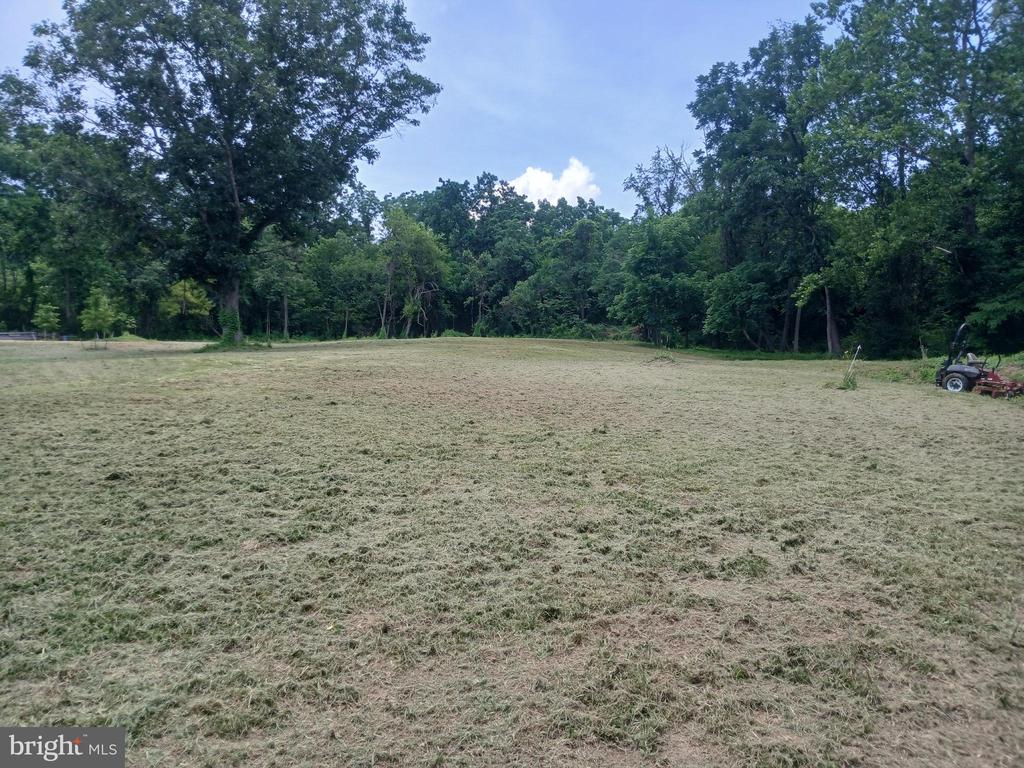 CAROLYNS WAY, LINDEN, Virginia 22642, ,Land,CAROLYNS WAY,VAFQ2022328 MLS # VAFQ2022328